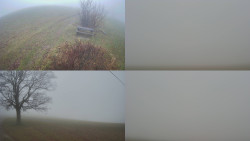 Sdružený snímek Bludný