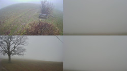 Sdružený snímek Bludný