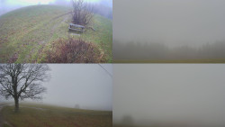 Sdružený snímek Bludný