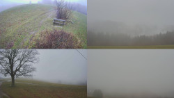 Sdružený snímek Bludný