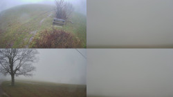 Sdružený snímek Bludný