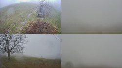 Sdružený snímek Bludný