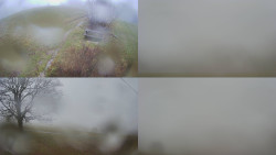 Sdružený snímek Bludný