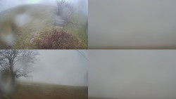 Sdružený snímek Bludný