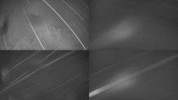 Sdružený snímek Bludný