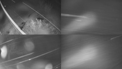 Sdružený snímek Bludný