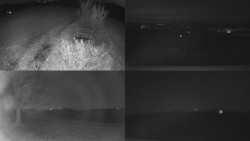 Sdružený snímek Bludný