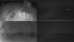 Sdružený snímek Bludný