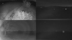 Sdružený snímek Bludný