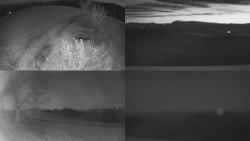 Sdružený snímek Bludný