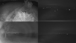 Sdružený snímek Bludný