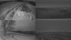 Sdružený snímek Bludný