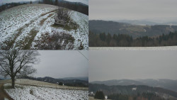 Sdružený snímek Bludný