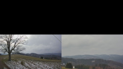 Sdružený snímek Bludný