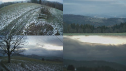 Sdružený snímek Bludný