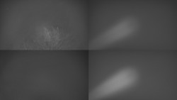 Sdružený snímek Bludný