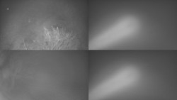 Sdružený snímek Bludný