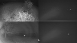 Sdružený snímek Bludný