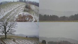 Sdružený snímek Bludný