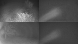 Sdružený snímek Bludný