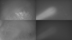 Sdružený snímek Bludný