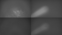 Sdružený snímek Bludný