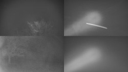 Sdružený snímek Bludný