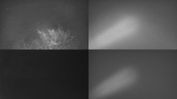 Sdružený snímek Bludný