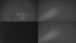 Sdružený snímek Bludný