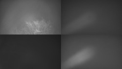 Sdružený snímek Bludný