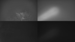 Sdružený snímek Bludný