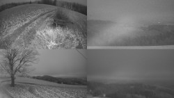 Sdružený snímek Bludný