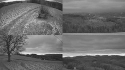 Sdružený snímek Bludný