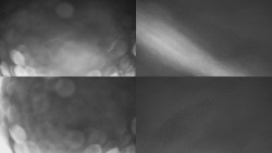 Sdružený snímek Bludný