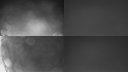 Sdružený snímek Bludný