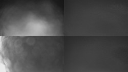 Sdružený snímek Bludný