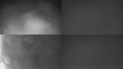 Sdružený snímek Bludný