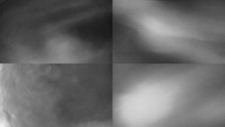 Sdružený snímek Bludný