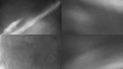 Sdružený snímek Bludný