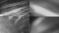 Sdružený snímek Bludný