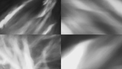 Sdružený snímek Bludný