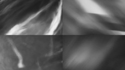 Sdružený snímek Bludný