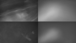 Sdružený snímek Bludný