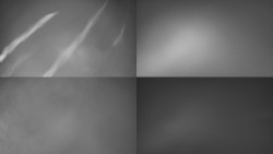 Sdružený snímek Bludný