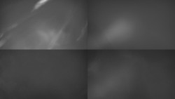 Sdružený snímek Bludný