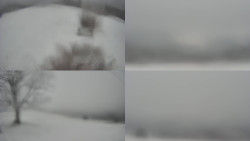 Sdružený snímek Bludný