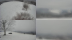 Sdružený snímek Bludný