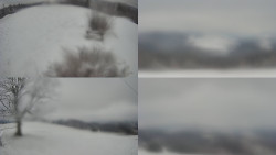 Sdružený snímek Bludný