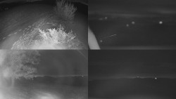 Sdružený snímek Bludný