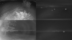 Sdružený snímek Bludný